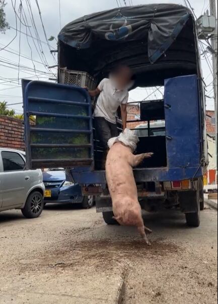 Ocurrió en el barrio La Feria, en Bucaramanga.