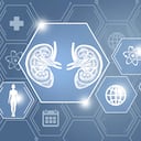 Los riñones son esenciales para la vida, filtran la orina y expulsan toxinas. Foto: Getty Images.