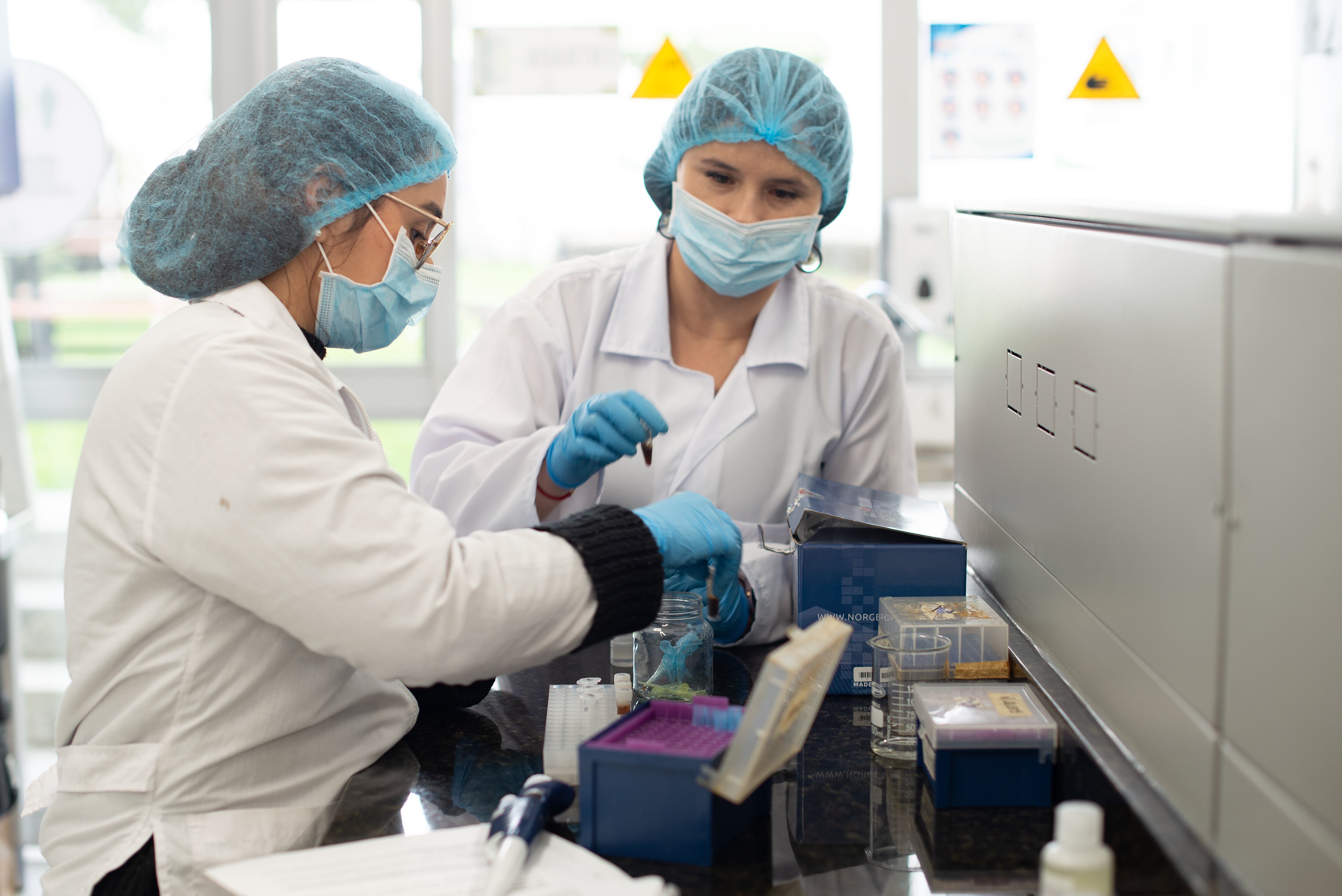 Investigadoras de BIOS.  Genomas.