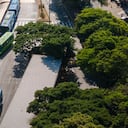 Metro Cali confirmó planes de contingencia operacional en la zona central de la ciudad durante la jornada atlética.