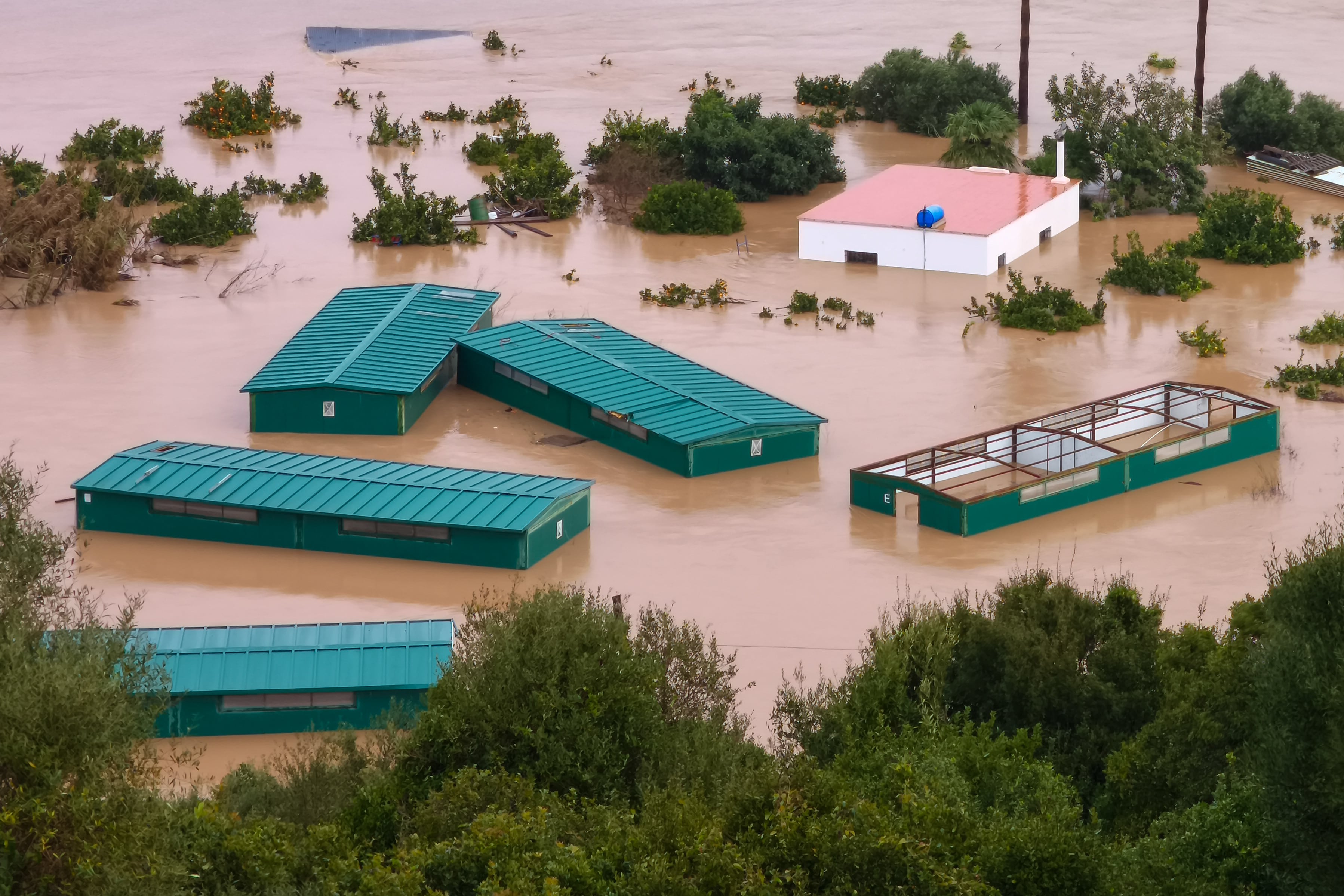 Vista de las inundaciones en la localidad de San Martín del Tesorillo, afectada por las fuertes lluvias que azotaron el sur de Andalucía.
