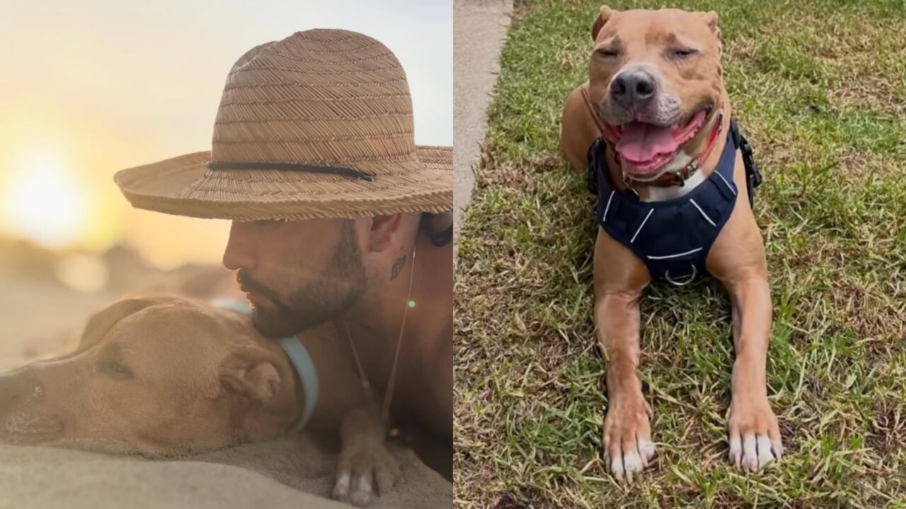 Camilo Triana conmovió a sus seguidores tras hablar de la salud de su mascota.