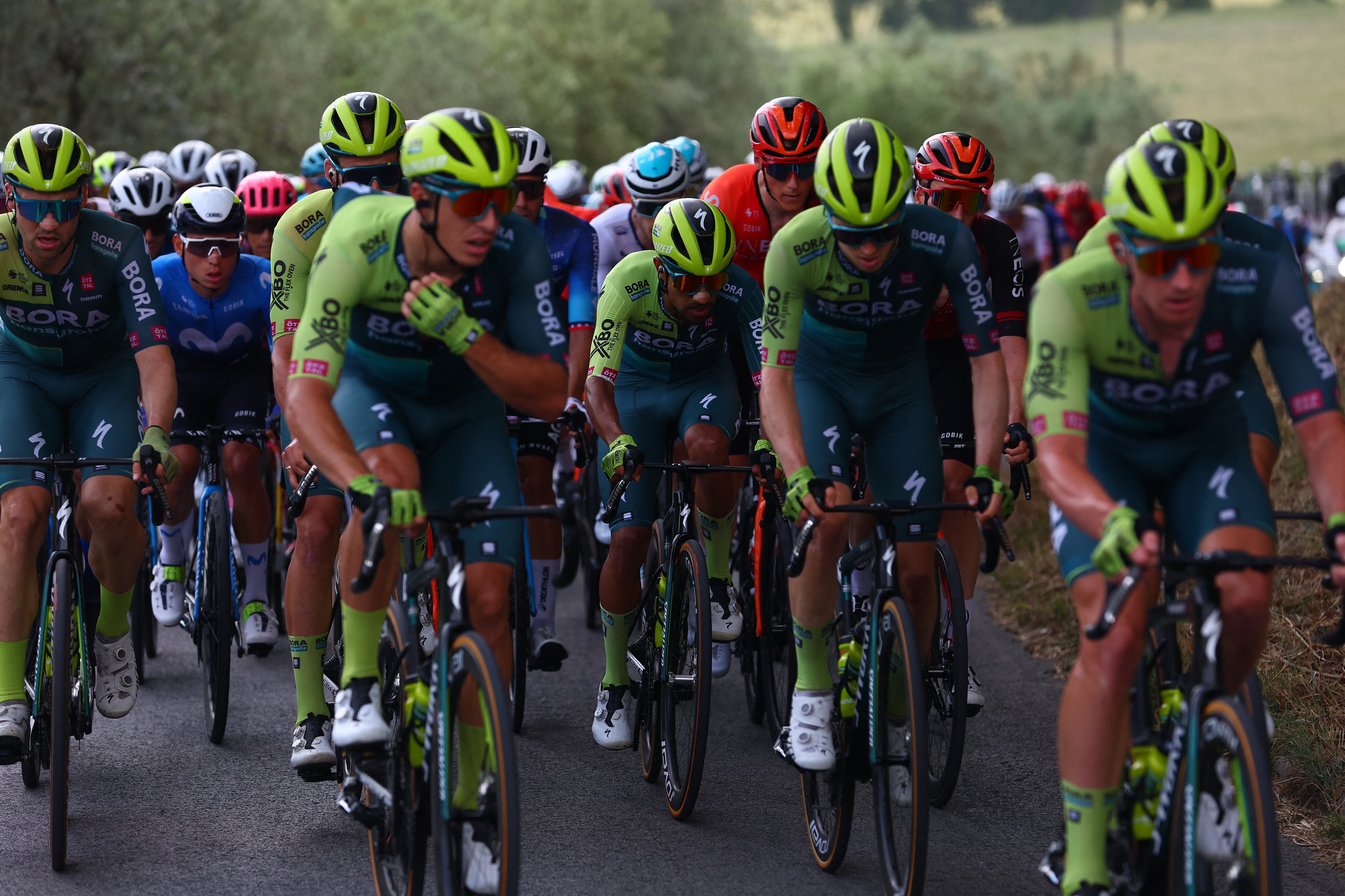 Team Bora's Colombian rider Daniel Martinez (C) climbs with teammates near Recanati during the 12th stage of the 107th Giro d'Italia cycling race, 193km between Martinsicuro and Fano, on May 16, 2024. (Photo by Luca Bettini / AFP)