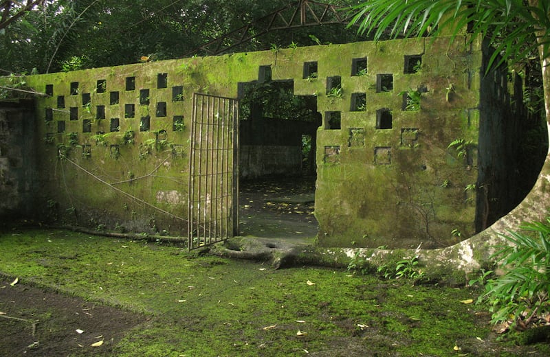 Durante 25 años, los únicos que podían disfrutar del espectáculo de las ballenas jorobadas eran los presos de la Penitenciaría de Gorgona que entre 1959 y 1982 albergó a reclusos de distintas partes del país. 