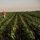 Amery, Wisconsin, USA