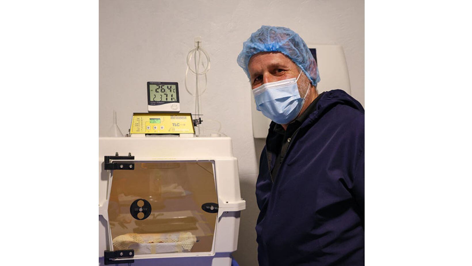 El Parque Jaime Duque celebra el nacimiento de ‘Rafiki’, un polluelo de Cóndor de los Andes tras 12 años de esfuerzos y dedicación