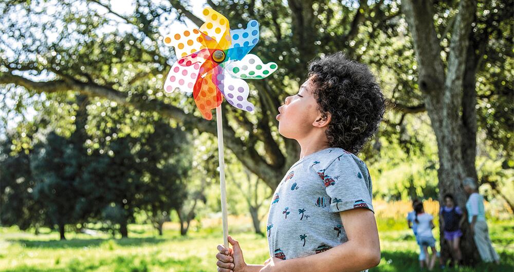 Radiografía de una inversión clave__5