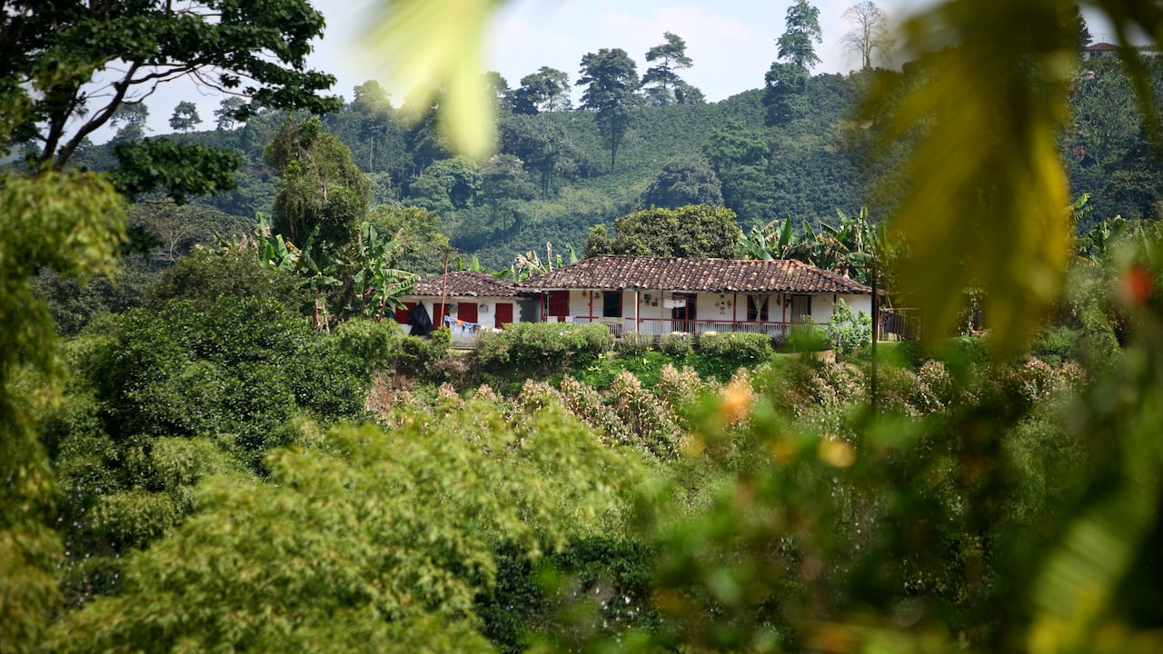 Finca cafetera en Chinchiná, Caldas