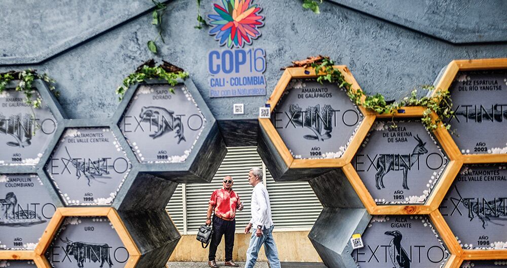 COP16 le deja grandes beneficios a Colombia. 
