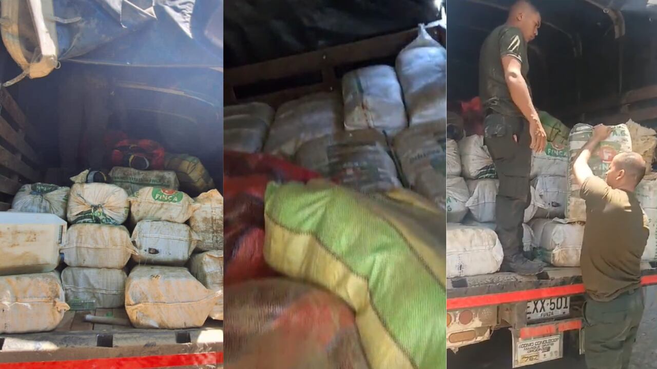 Incautación de marihuana en Medellín.