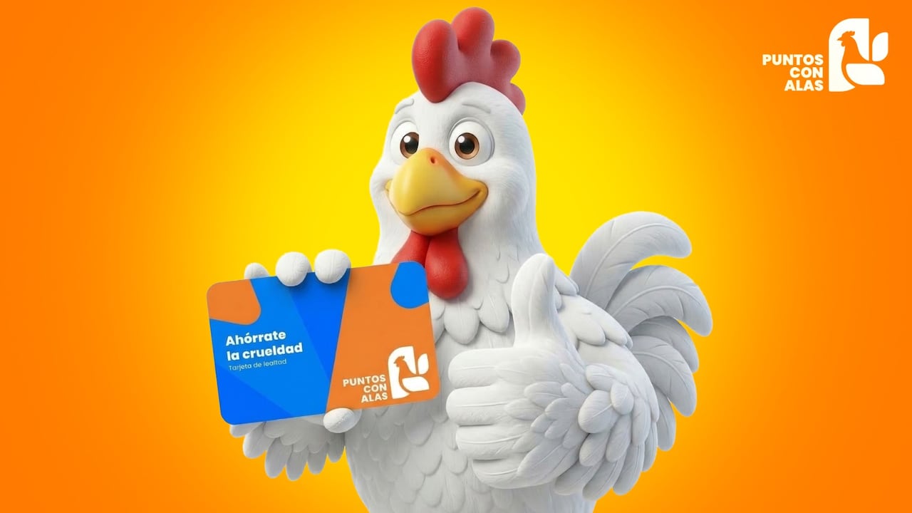 Con el apoyo de 'Mercy For Animals', la plataforma digital busca transformar los hábitos de compra y promover el bienestar animal en las principales cadenas de supermercados.