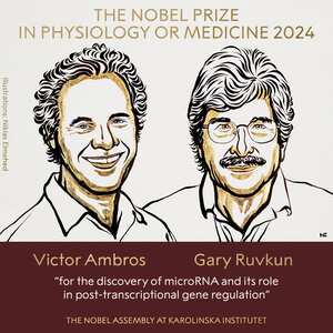 Victor Ambros y Gary Ruvkun fueron los ganadores del premio Nóbel de Medicina 2024.