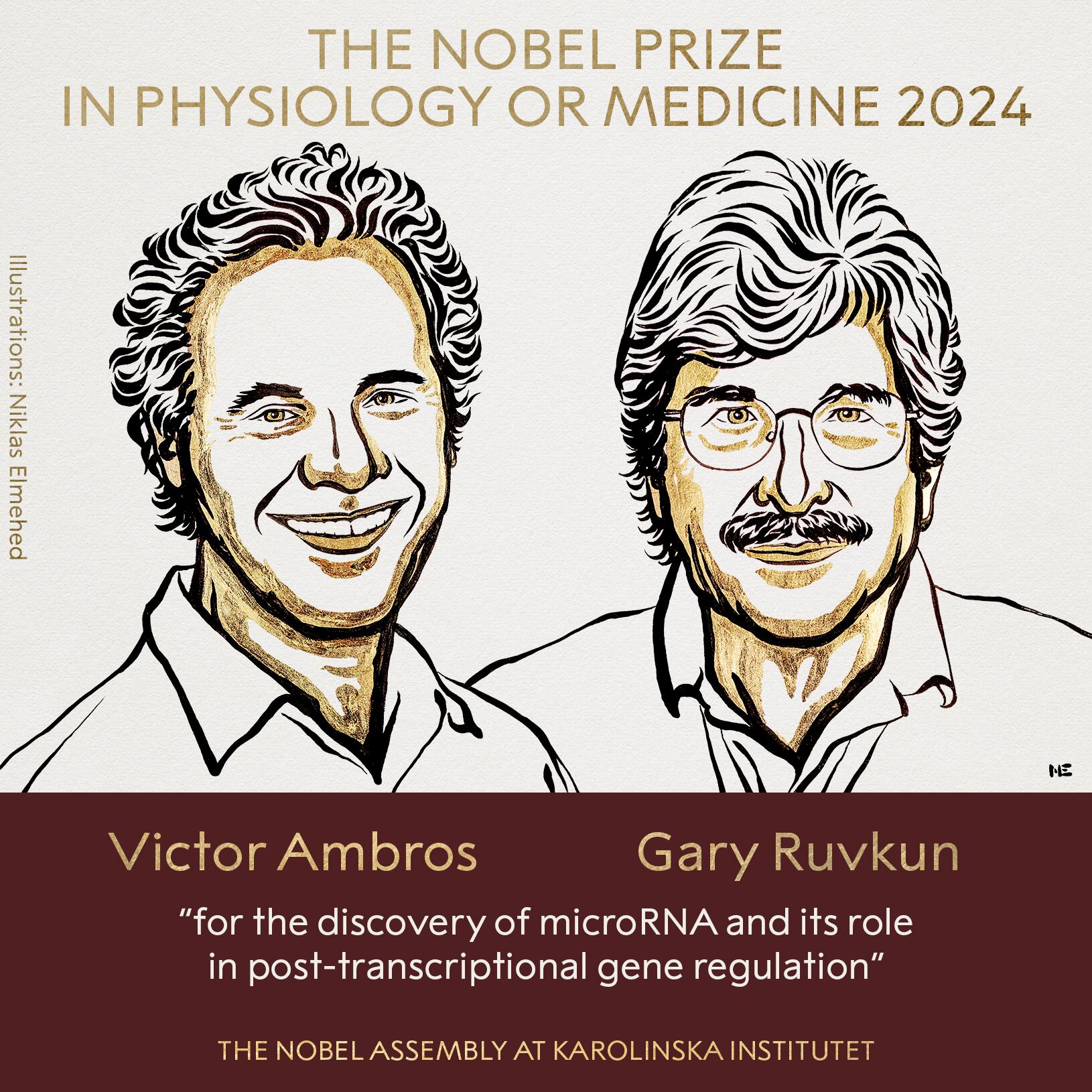 Victor Ambros y Gary Ruvkun fueron los ganadores del premio Nóbel de Medicina 2024.
