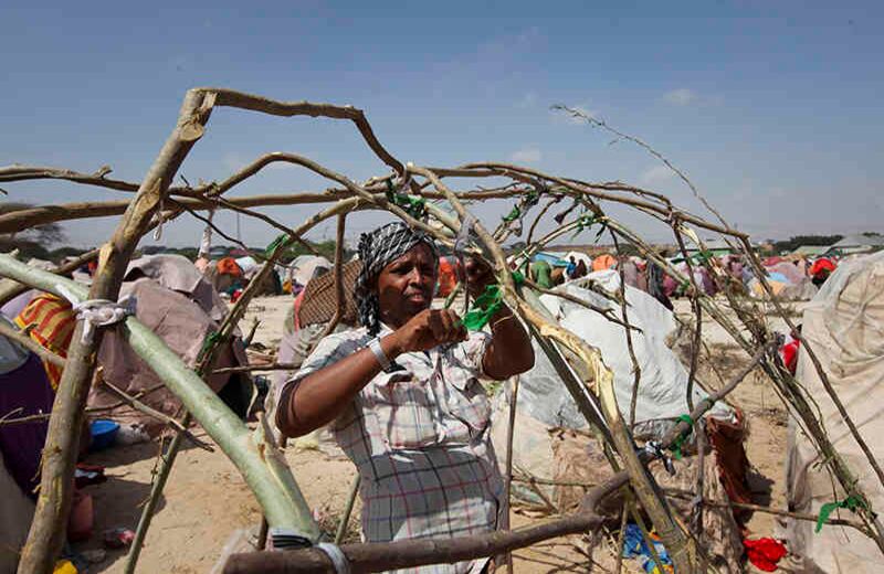 Un recién desplazado somalí usa palos para construir un refugio improvisado en un campamento en el área de Garasbaley en las afueras de Mogadishu, Somalia. (Foto del AP / Farah Abdi Warsameh)