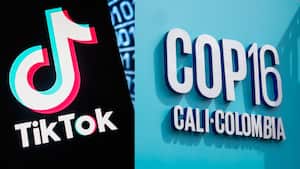 Varios generadores de contenido presentes en TikTok y relacionados con temas medioambientales estarán presentes en la COP16 en Cali, Colombia.