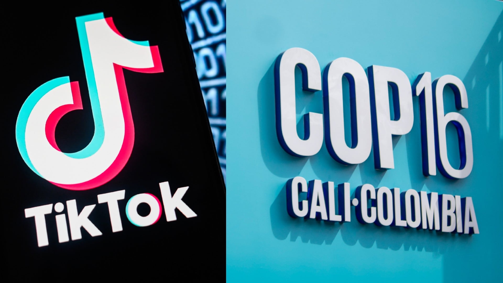 Varios generadores de contenido presentes en TikTok y relacionados con temas medioambientales estarán presentes en la COP16 en Cali, Colombia.