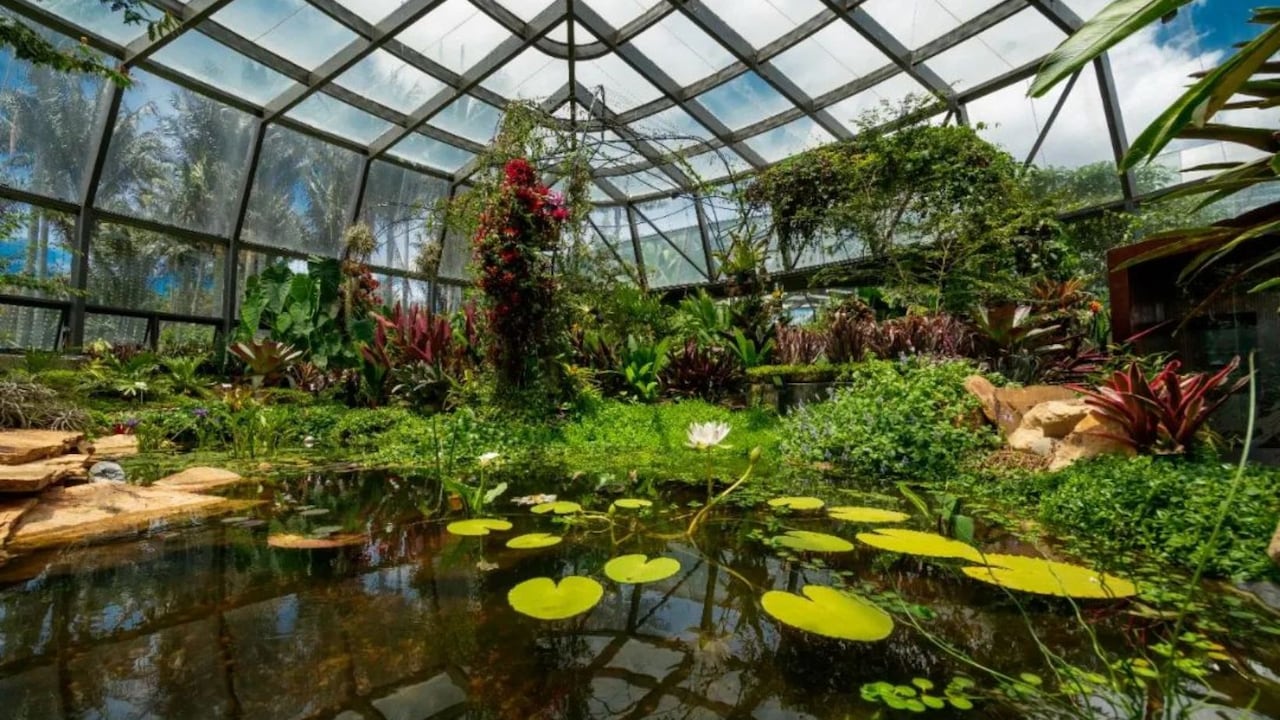 Jardín Botánico de Bogotá: estas son las personas que pueden ingresar gratis todos los días a este espacio natural