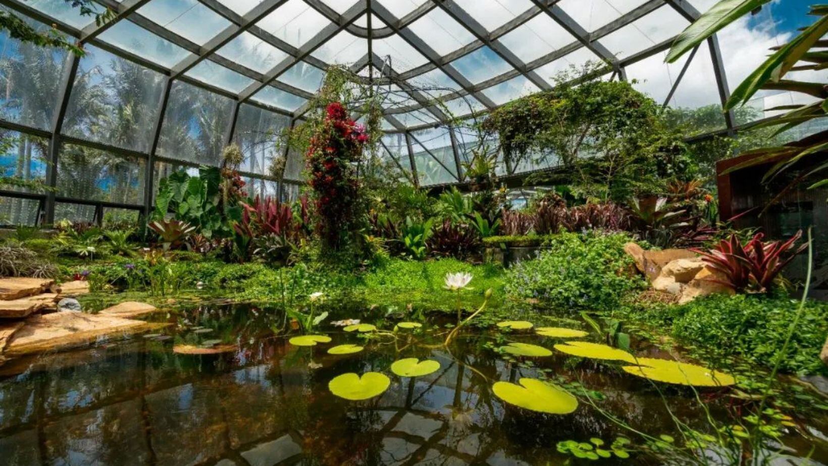 Jardín Botánico de Bogotá: estas son las personas que pueden ingresar gratis todos los días a este espacio natural