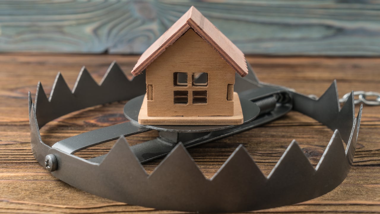 Las leyes ponen alto a algunas prácticas realizadas por los dueños de los predios.