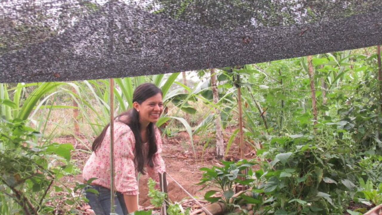 Mercado Campesino