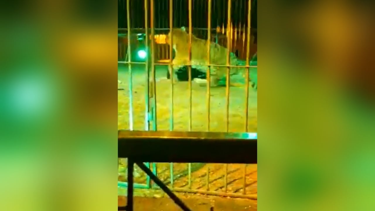 Twitter:@ON8CB (API)