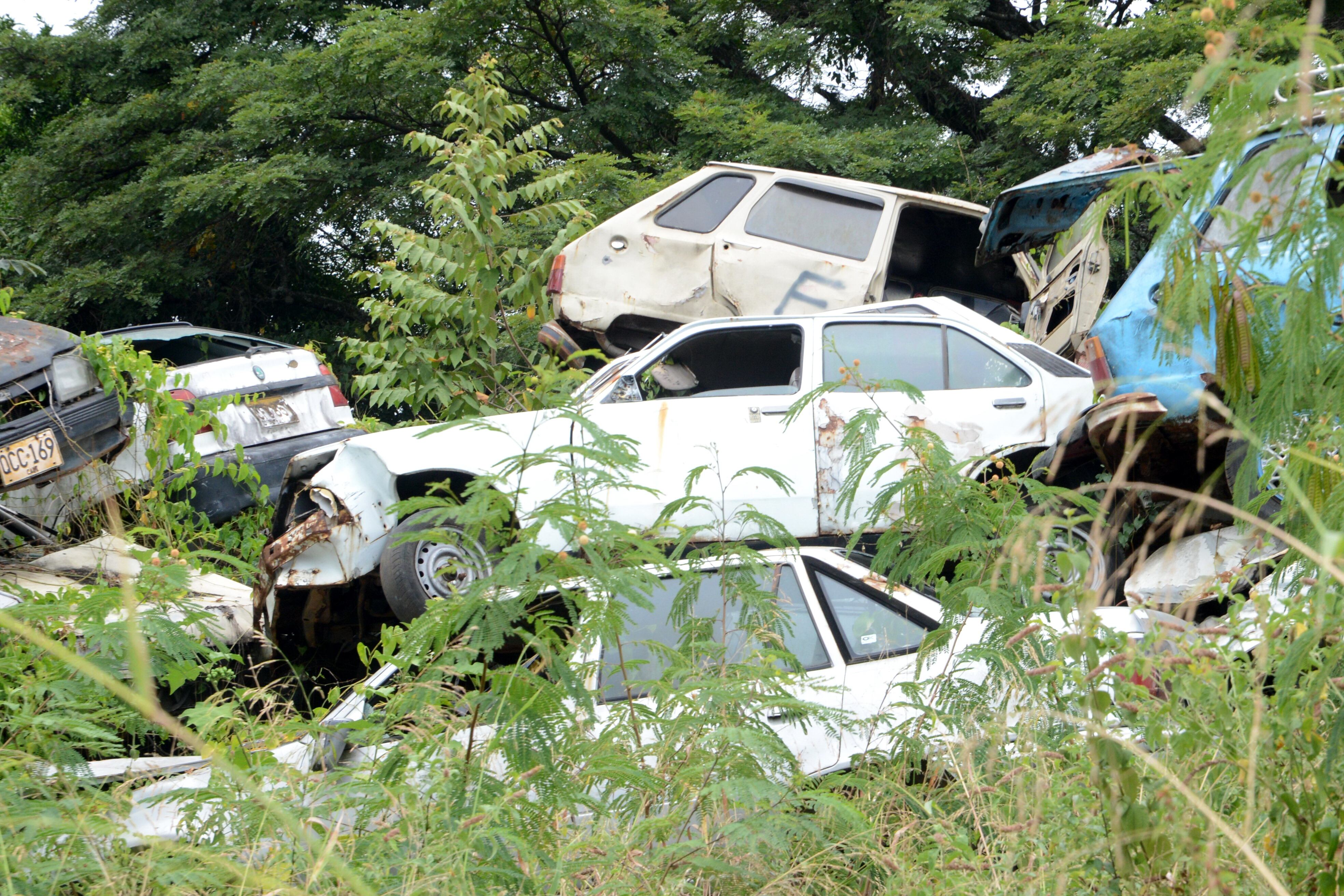 Cali: 3 mil vehículos que se encuentran en los patios de la secretaria de movilidad, ubicado en la Av. Pasoancho  serán sacados de este parqueadero del tránsito. foto José L Guzmán. El País, agosto 9-23 El País