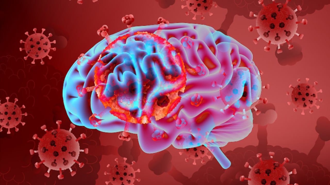 Coronavirus y cerebro