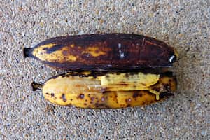 Las frutas se oxidan por el aire.