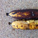 Las frutas se oxidan por el aire.