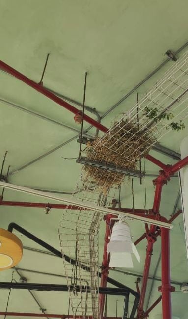 Denuncian mal estado de biblioteca en Santa Marta.