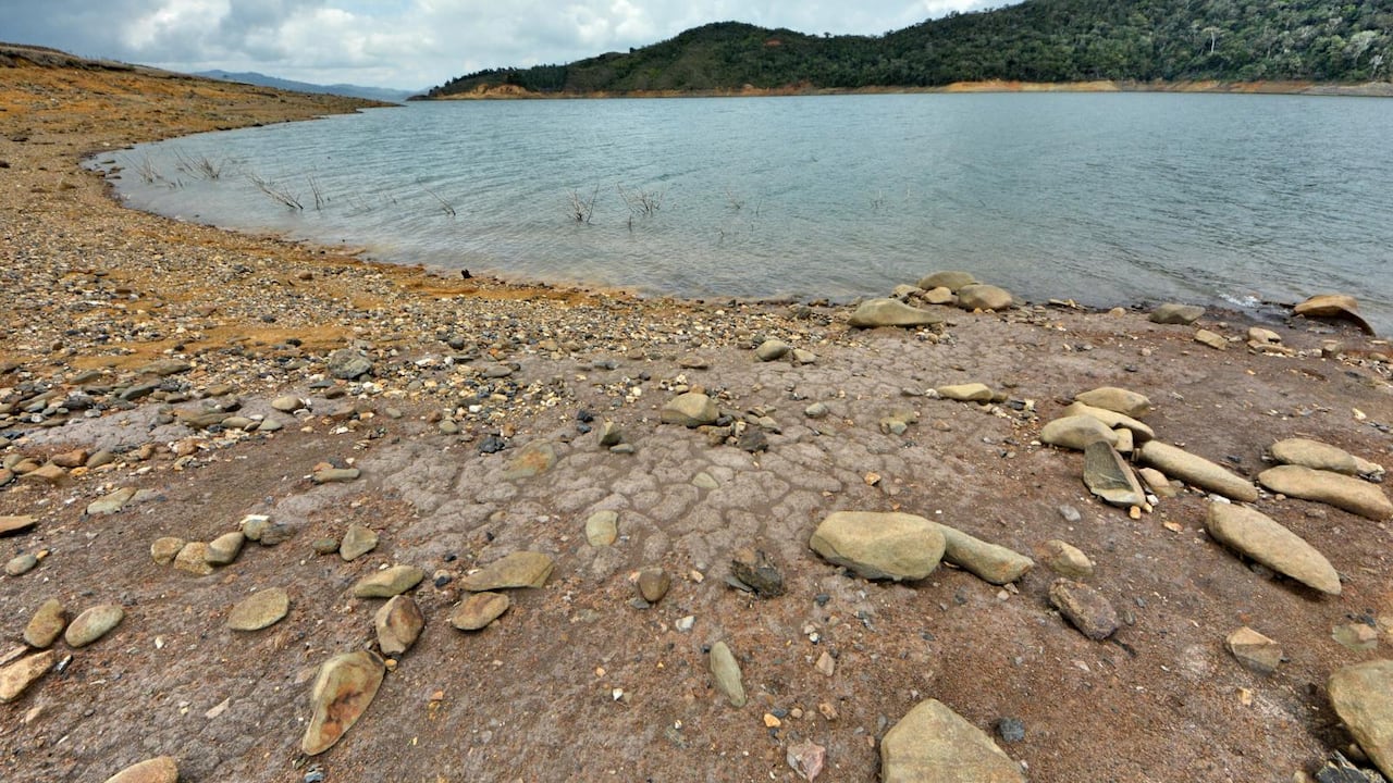 Ante la posibilidad de un fuerte Fenómeno del Niño, para el segundo semestre del 2026, algunos gremios del sector han pedido que se tomen medidas. Foto: Colprensa