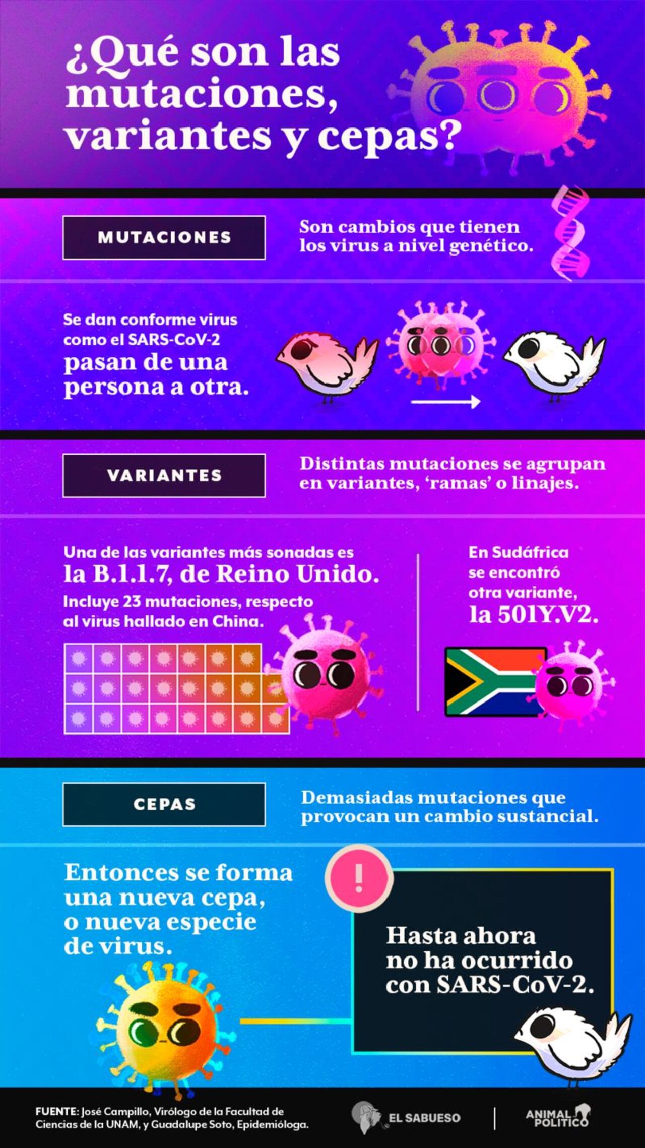 Diferencia entre mutaciones, variantes y una cepa.