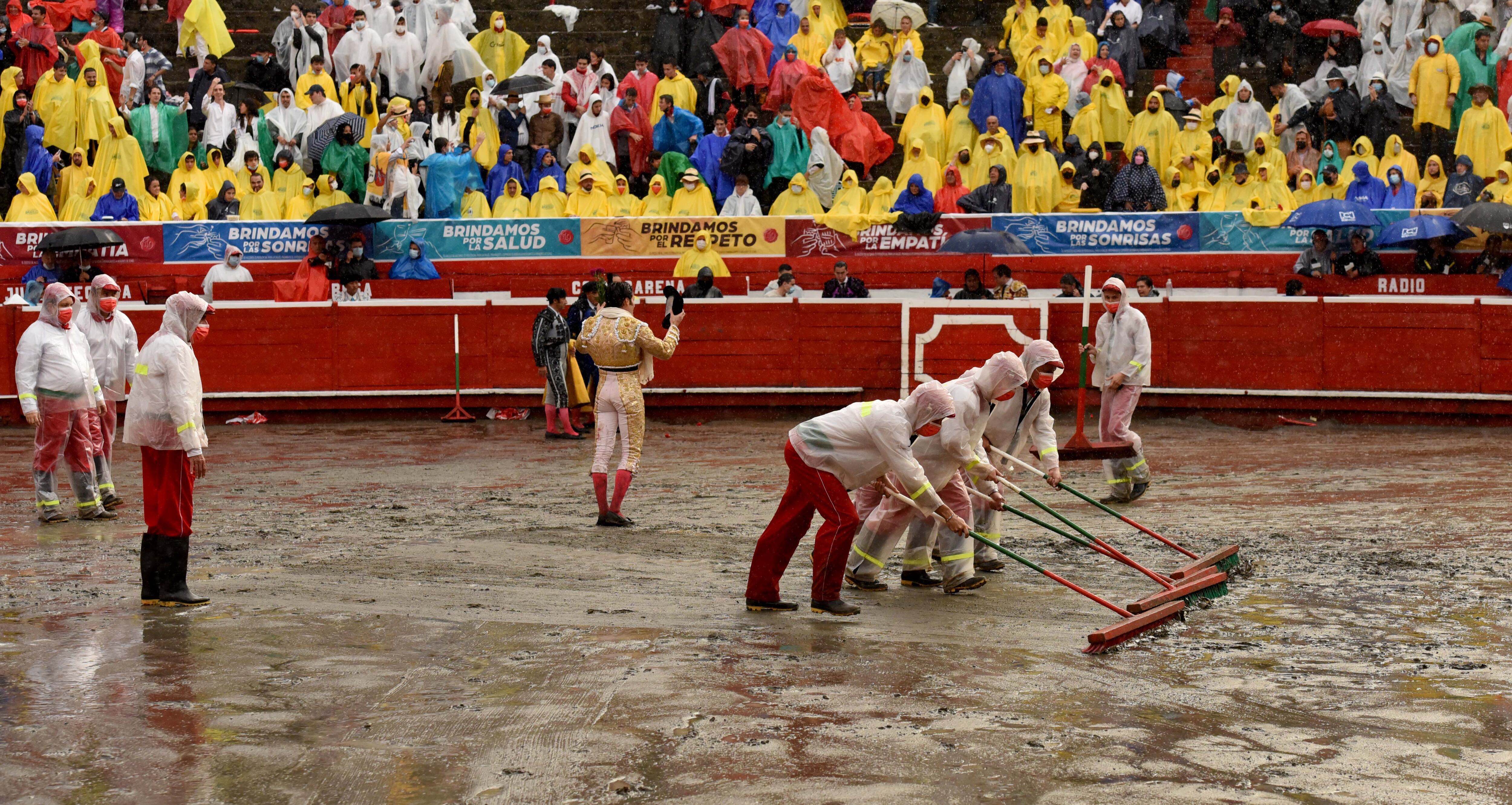 Monosabios. Manizales, 5 de enero de 2022.