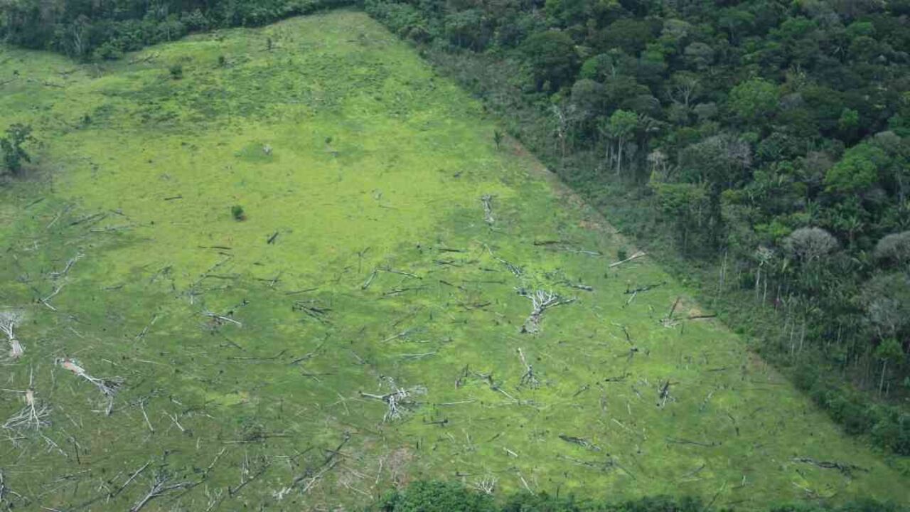 La Macarena es uno de los Parques Nacionales más deforestados en Colombia. Foto: Rodrigo Botero.