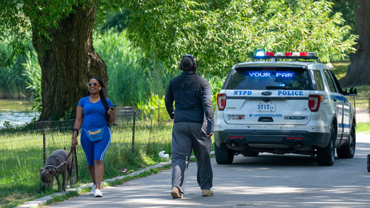 El Central Park, uno de los íconos de Nueva York, situado en el distrito metropolitano de Manhattan, se convirtió el pasado sábado en el escenario de una disputa entre dos personas y la que llevó la peor parte fue una de las mascotas que acompañaba a una pareja. (Photo by Theodore Parisienne for NY Daily News via Getty Images)