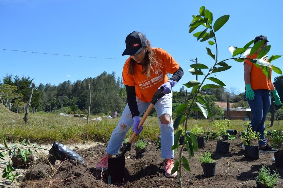 Además de las viviendas, el proyecto Mi Hábitat entregó una huerta comunitaria con la siembra de especies que pronto entregarán alimentos a los habitantes.