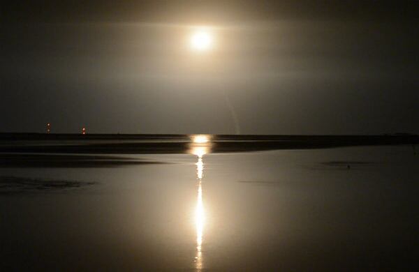 Un cohete no tripulado lleva la nave espacial LADEE, el nuevo explorador robótico de la NASA, que se encarga de estudiar la atmósfera lunar y polvo, desde la costa este de Virginia. (AP)