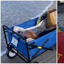 El canino vivió su último momento en la playa.