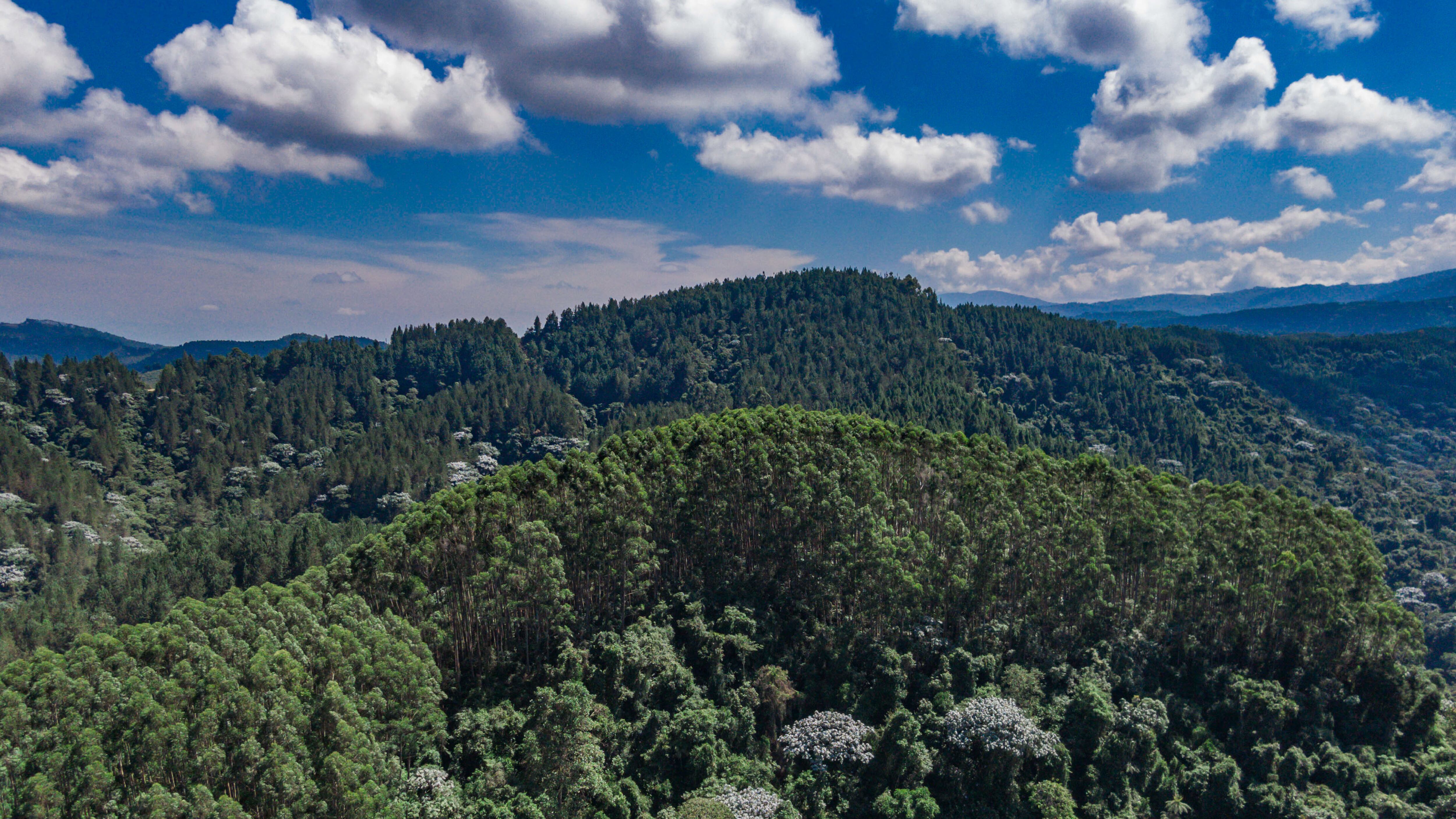 Smurfit Westrock lleva más de 80 años haciendo de la sostenibilidad no solo una estrategia sino su razón de ser.