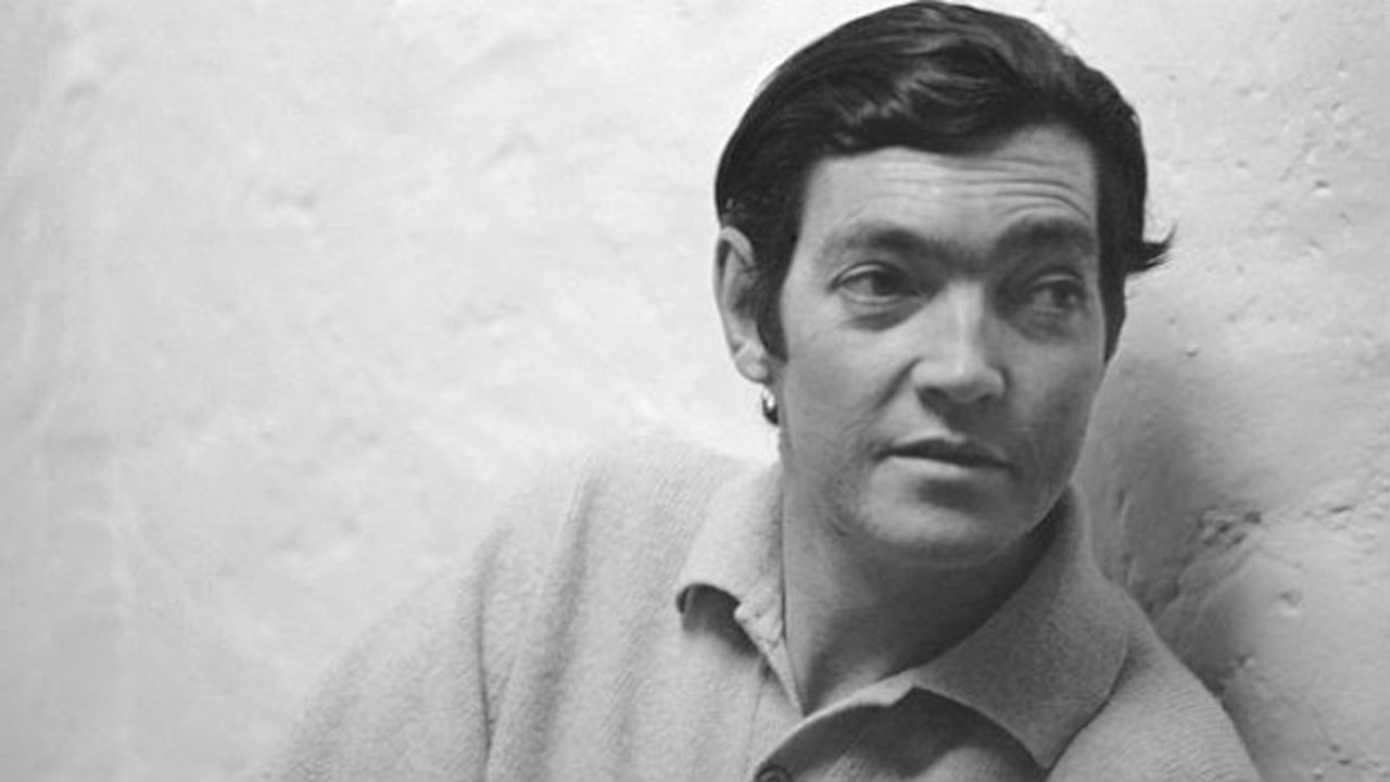 Cortázar se había contagiado de VIH en una transfusión de sangre en 1980. Y aunque la versión nunca se ha probado, tampoco se ha probado la de la leucemia.