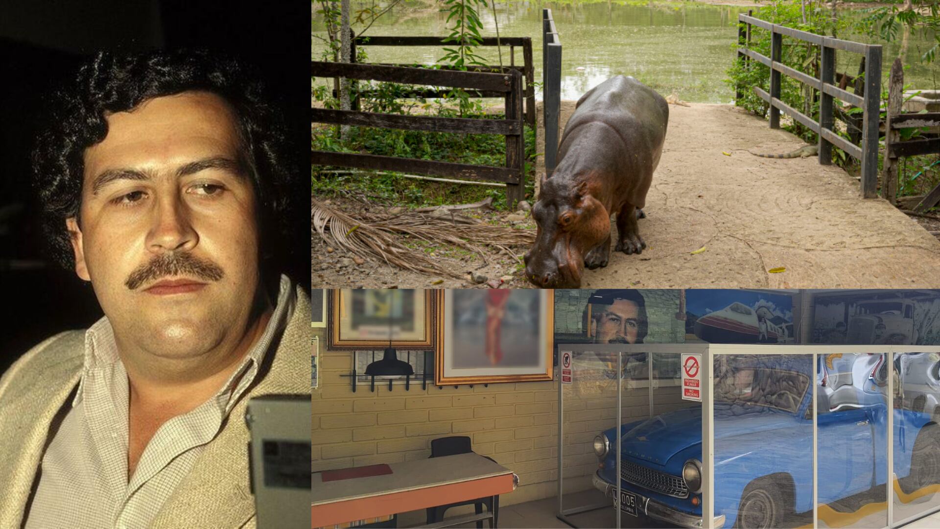 Sobrino de Pablo Escobar habla en SEMANA y entrega detalles de su herencia.