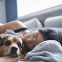 Estudio en Canadá identificó que la compañía de los perros puede disminuir los niveles de dolor. Foto: Getty images.