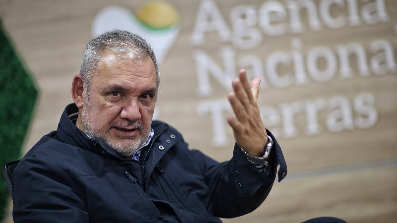 Gerardo Vega Director de la Agencia Nacional de Tierras