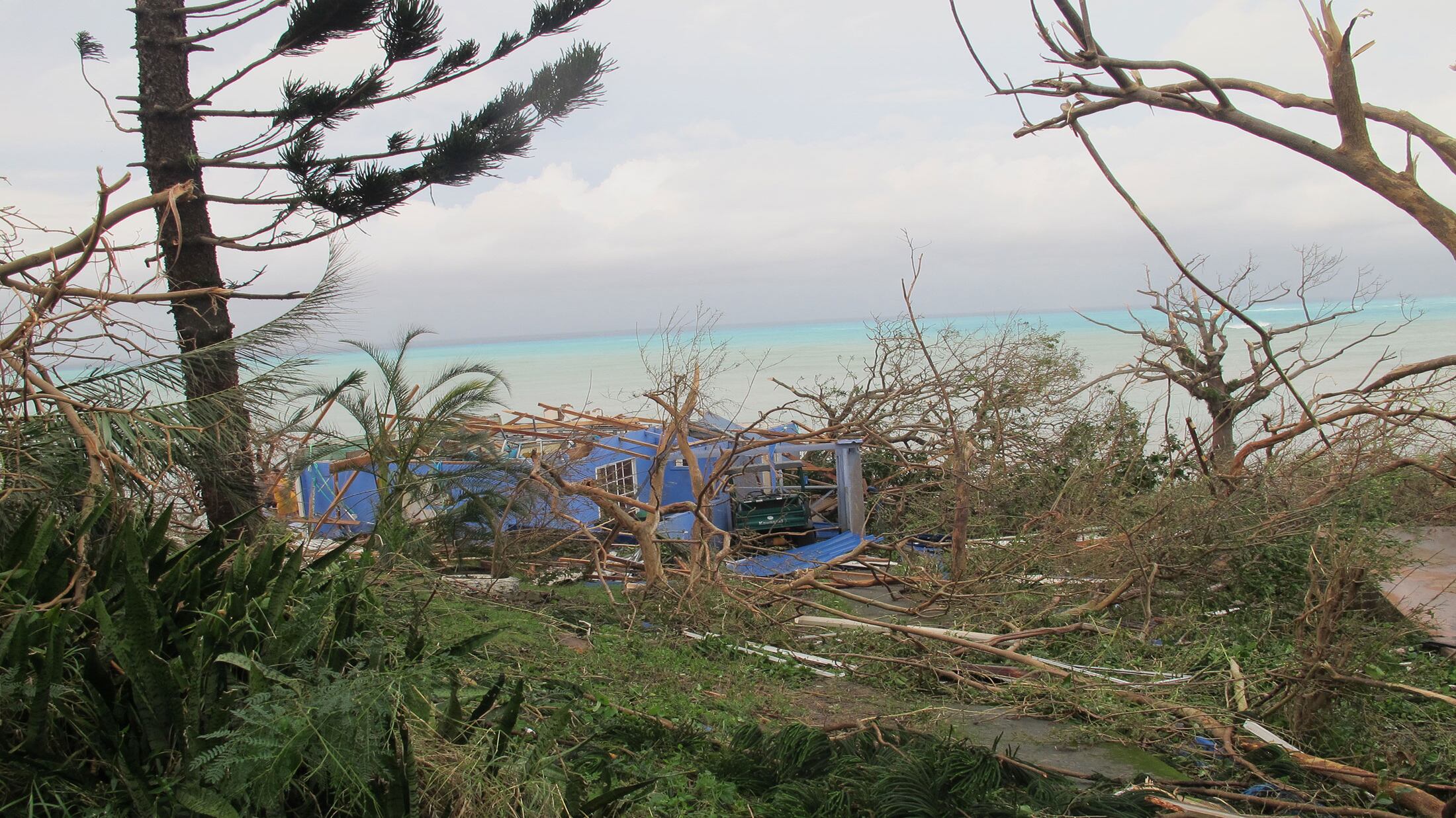 Providencia Iota - 12