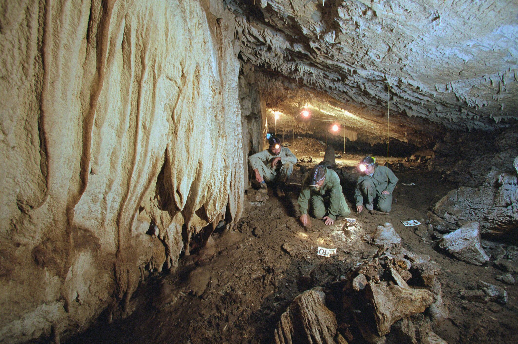 Foto de referencia de arqueólogos.