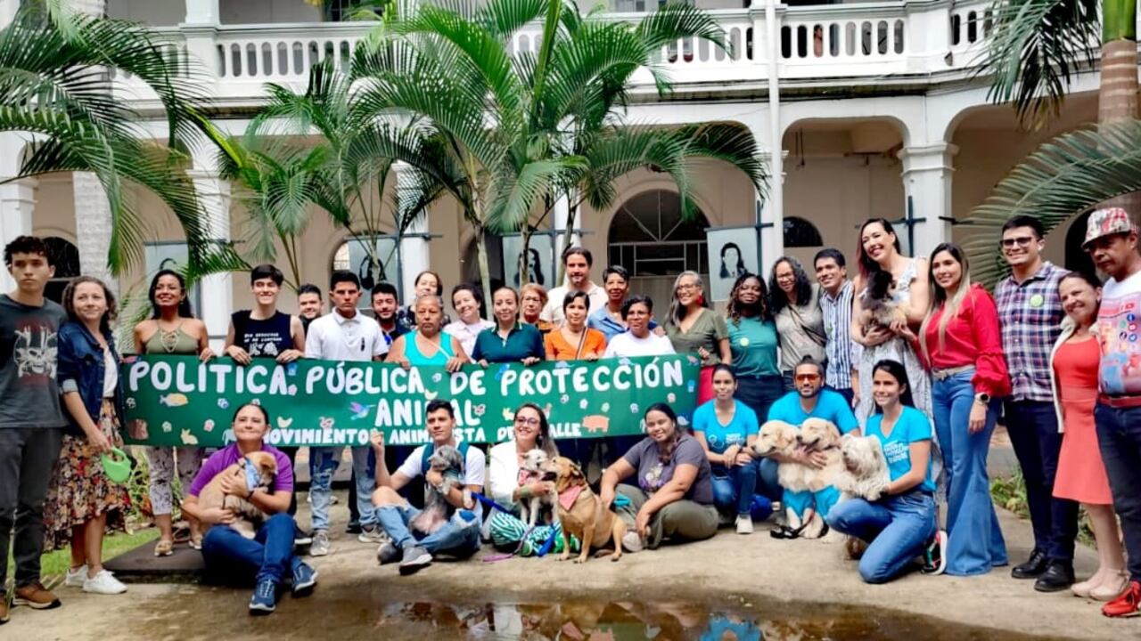 Política Pública de Protección y Bienestar Animal fue aprobada en el Valle del Cauca.