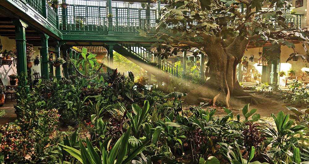 La mujer encargada de la vegetación sembró unas 16.000 plantas. Para muchos en el equipo, verla lograrlas hacer florecer pareció casi un acto de magia. 