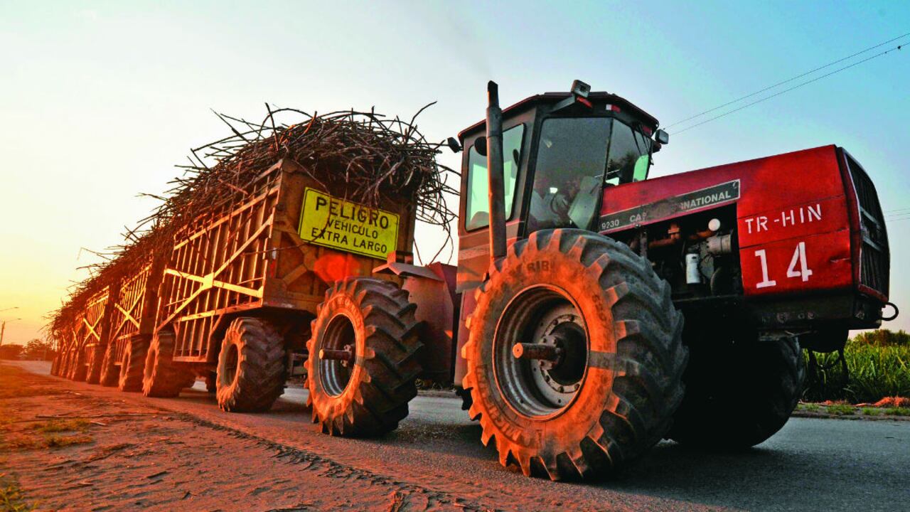 Un tractor transporta caña de azúcar a una refinería en Candelaria, Valle del Cauca, 18 de marzo, 2009.