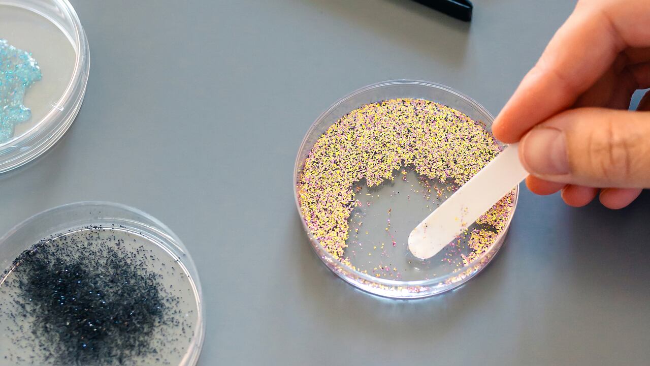 Este reciente estudio demuestra la masiva cantidad de nano y microplásticos que pueden ingresar al cuerpo al masticar chicle.