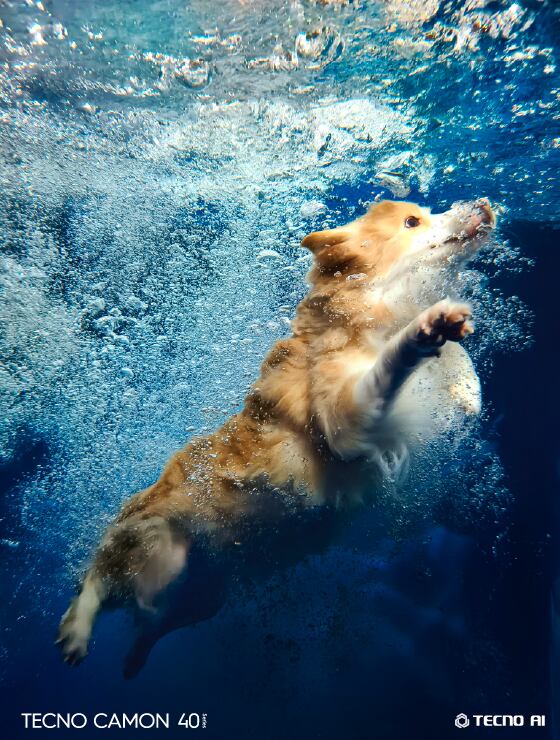 Los modelos Premier 5G, Pro 5G y Pro cuentan con certificación IP68 e IP69, lo que les permite resistir el agua dulce hasta una profundidad de dos metros.